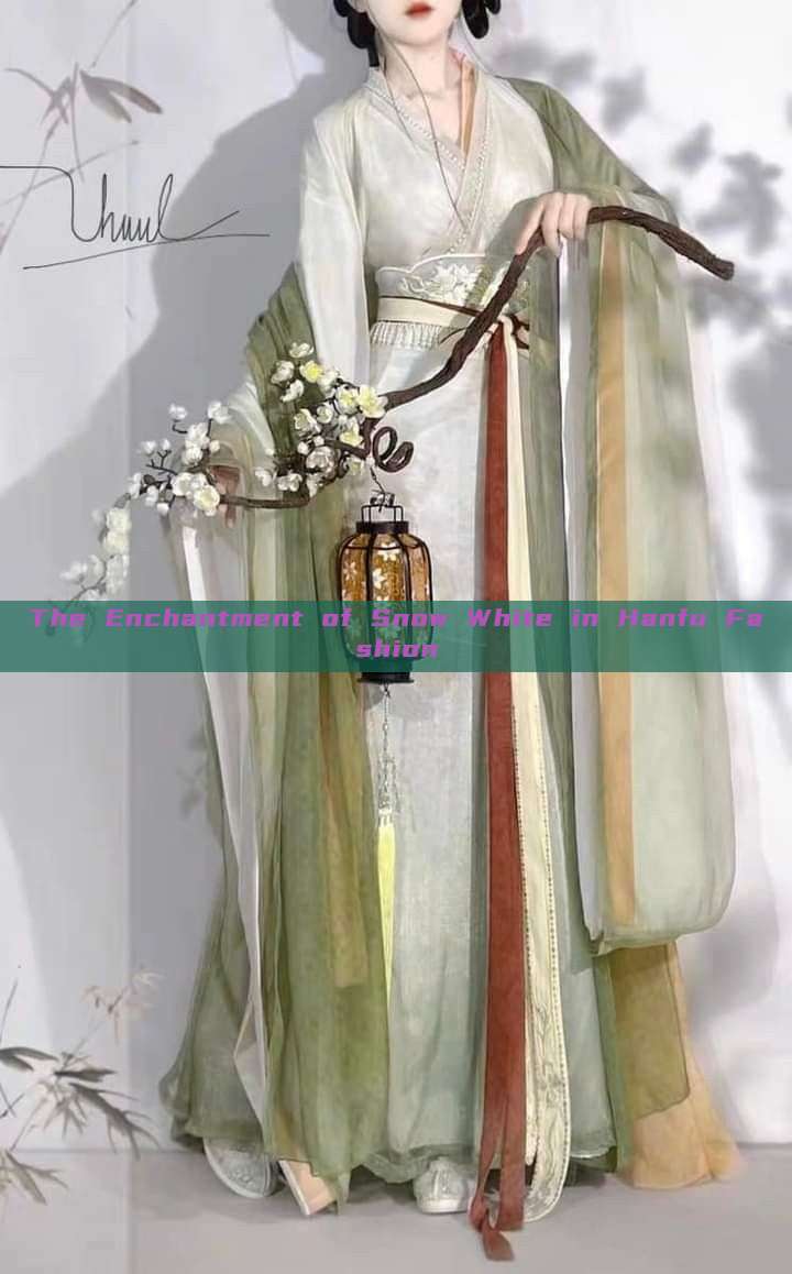 The Enchantment of Snow White in Hanfu Fashion The Enchantment of Snow White in Hanfu Fashion