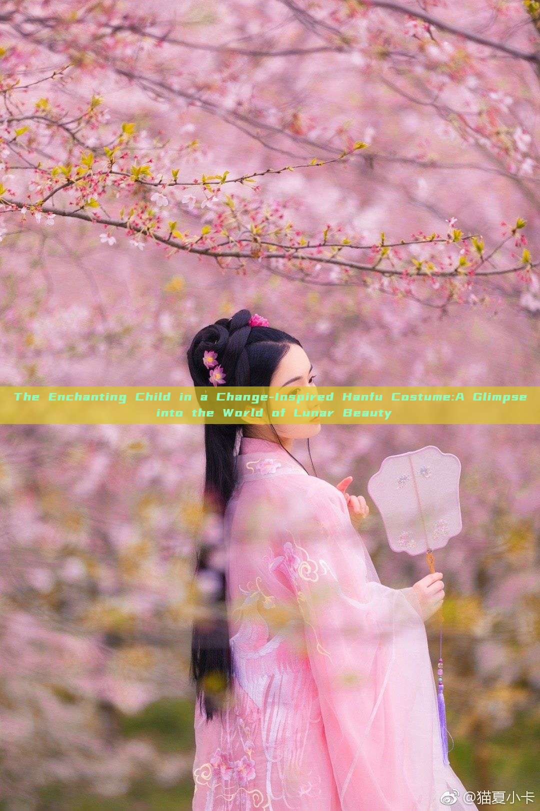 The Enchanting Child in a Change-Inspired Hanfu Costume:A Glimpse into the World of Lunar Beauty The Enchanting Child in a Change-Inspired Hanfu Costume:A Glimpse into the World of Lunar Beauty