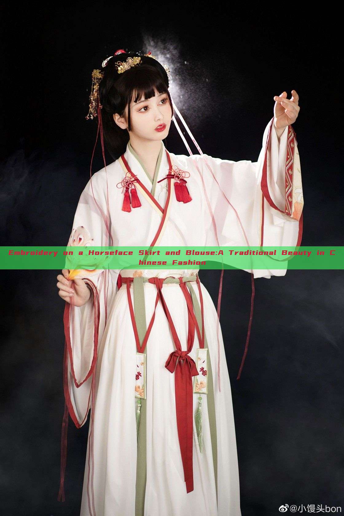Embroidery on a Horseface Skirt and Blouse:A Traditional Beauty in Chinese Fashion Embroidery on a Horseface Skirt and Blouse:A Traditional Beauty in Chinese Fashion