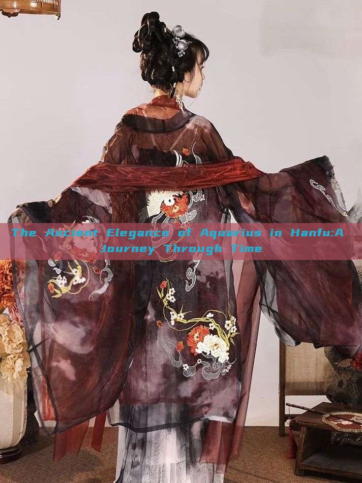 The Ancient Elegance of Aquarius in Hanfu:A Journey Through Time The Ancient Elegance of Aquarius in Hanfu:A Journey Through Time