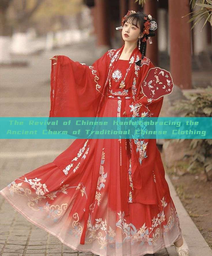The Revival of Chinese Hanfu:Embracing the Ancient Charm of Traditional Chinese Clothing The Revival of Chinese Hanfu:Embracing the Ancient Charm of Traditional Chinese Clothing