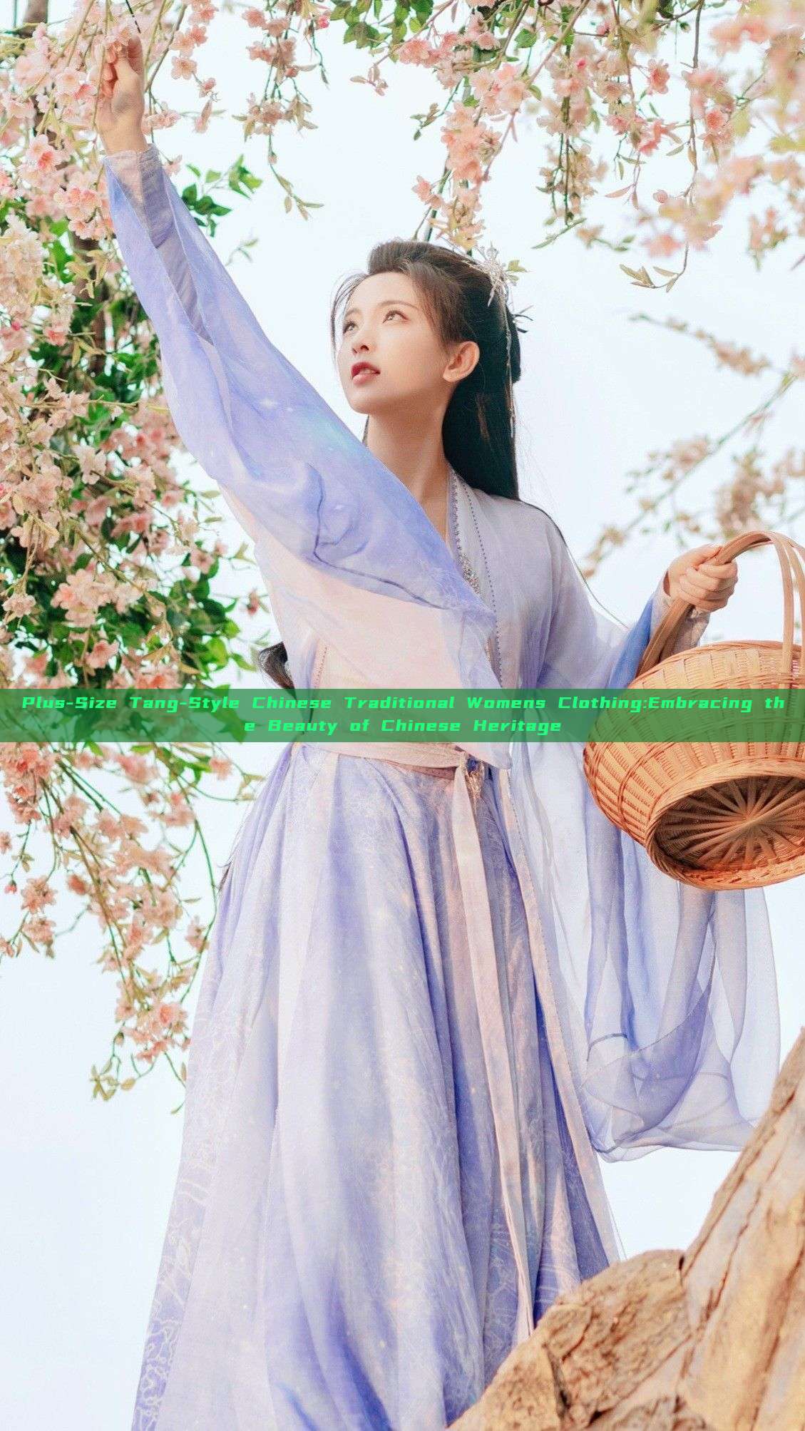 Plus-Size Tang-Style Chinese Traditional Womens Clothing:Embracing the Beauty of Chinese Heritage Plus-Size Tang-Style Chinese Traditional Womens Clothing:Embracing the Beauty of Chinese Heritage