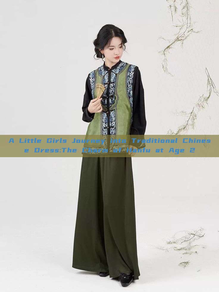 A Little Girls Journey into Traditional Chinese Dress:The Charm of Hanfu at Age 2
