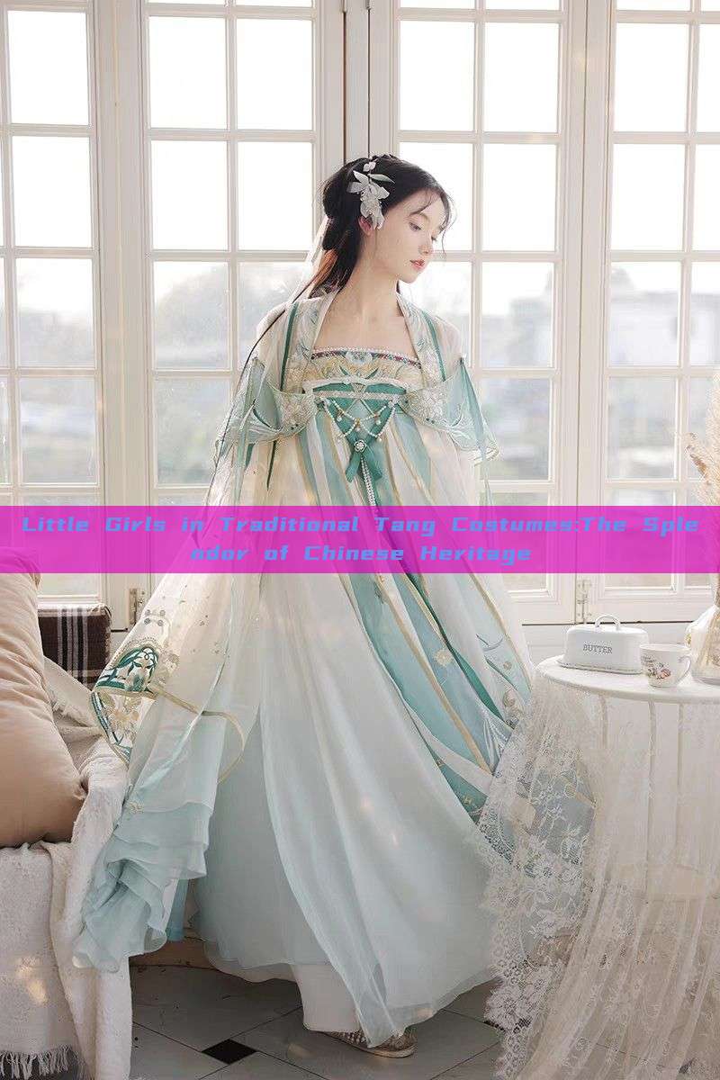 Little Girls in Traditional Tang Costumes:The Splendor of Chinese Heritage Little Girls in Traditional Tang Costumes:The Splendor of Chinese Heritage