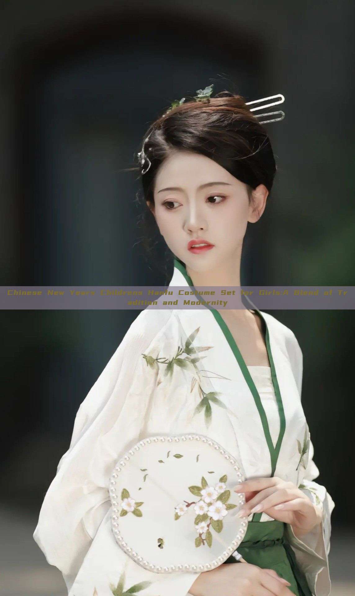 Chinese New Years Childrens Hanfu Costume Set for Girls:A Blend of Tradition and Modernity Chinese New Years Childrens Hanfu Costume Set for Girls:A Blend of Tradition and Modernity