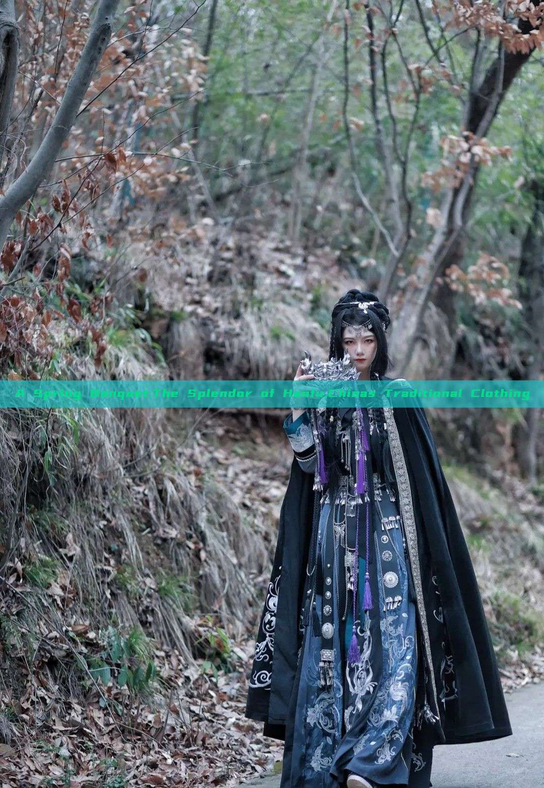 A Spring Banquet:The Splendor of Hanfu,Chinas Traditional Clothing