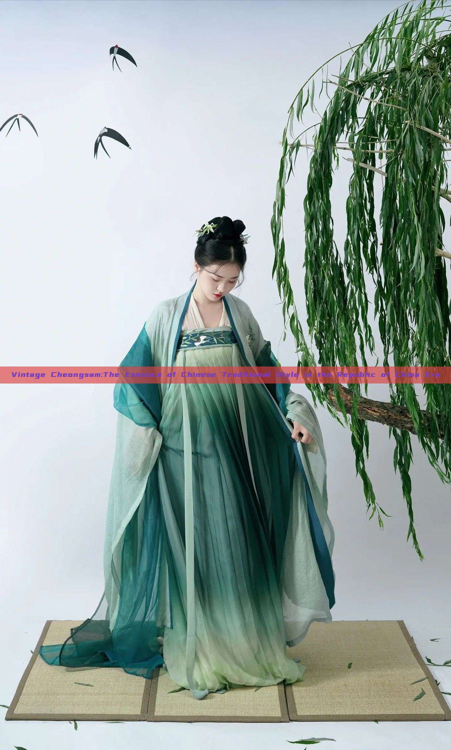 Vintage Cheongsam:The Essence of Chinese Traditional Style in the Republic of China Era Vintage Cheongsam:The Essence of Chinese Traditional Style in the Republic of China Era