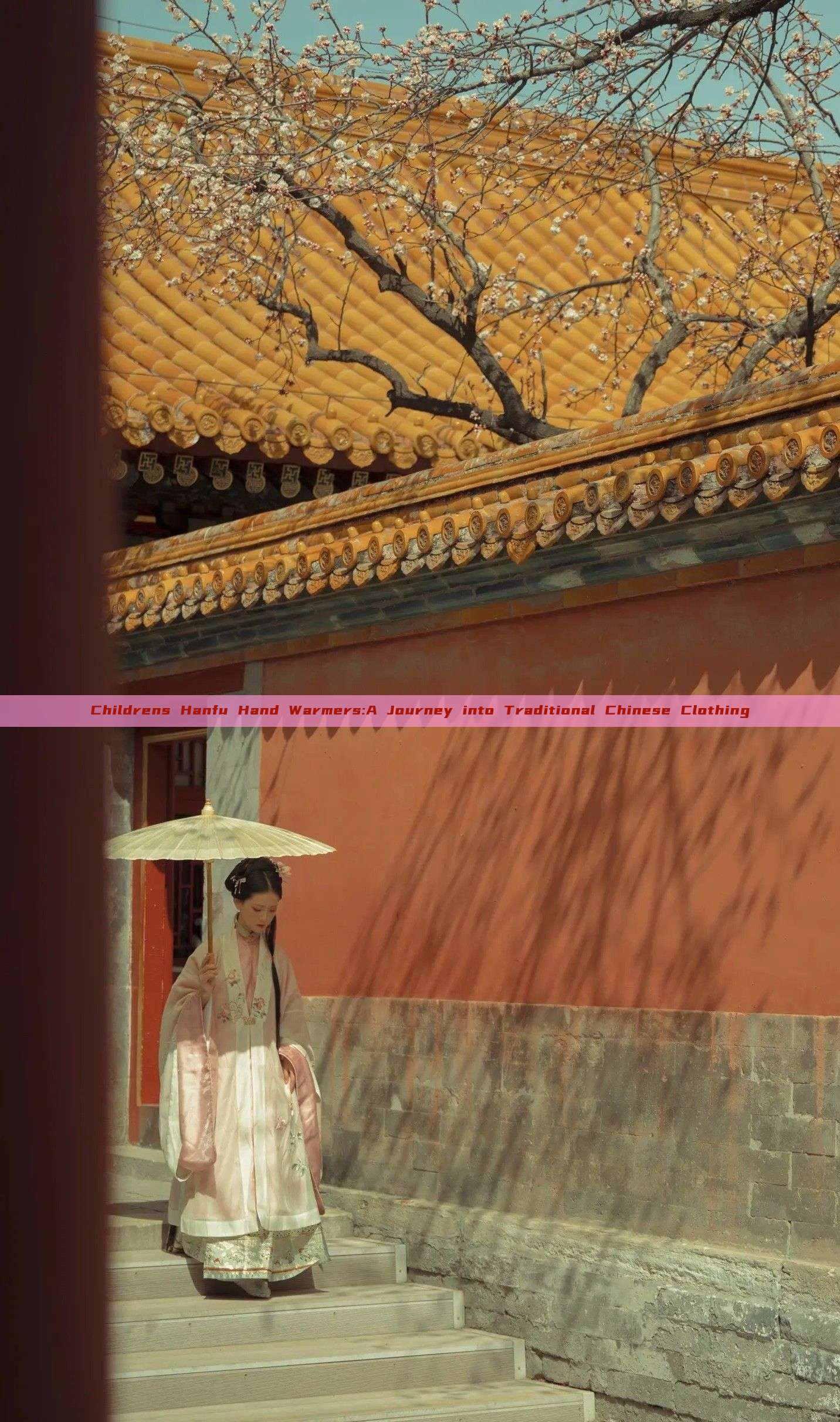 Childrens Hanfu Hand Warmers:A Journey into Traditional Chinese Clothing Childrens Hanfu Hand Warmers:A Journey into Traditional Chinese Clothing