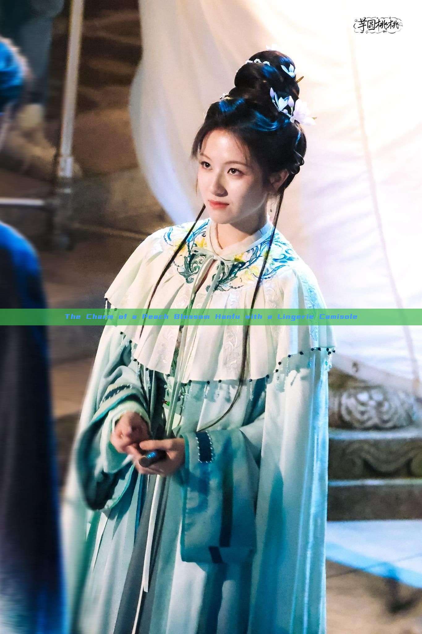 The Charm of a Peach Blossom Hanfu with a Lingerie Camisole The Charm of a Peach Blossom Hanfu with a Lingerie Camisole
