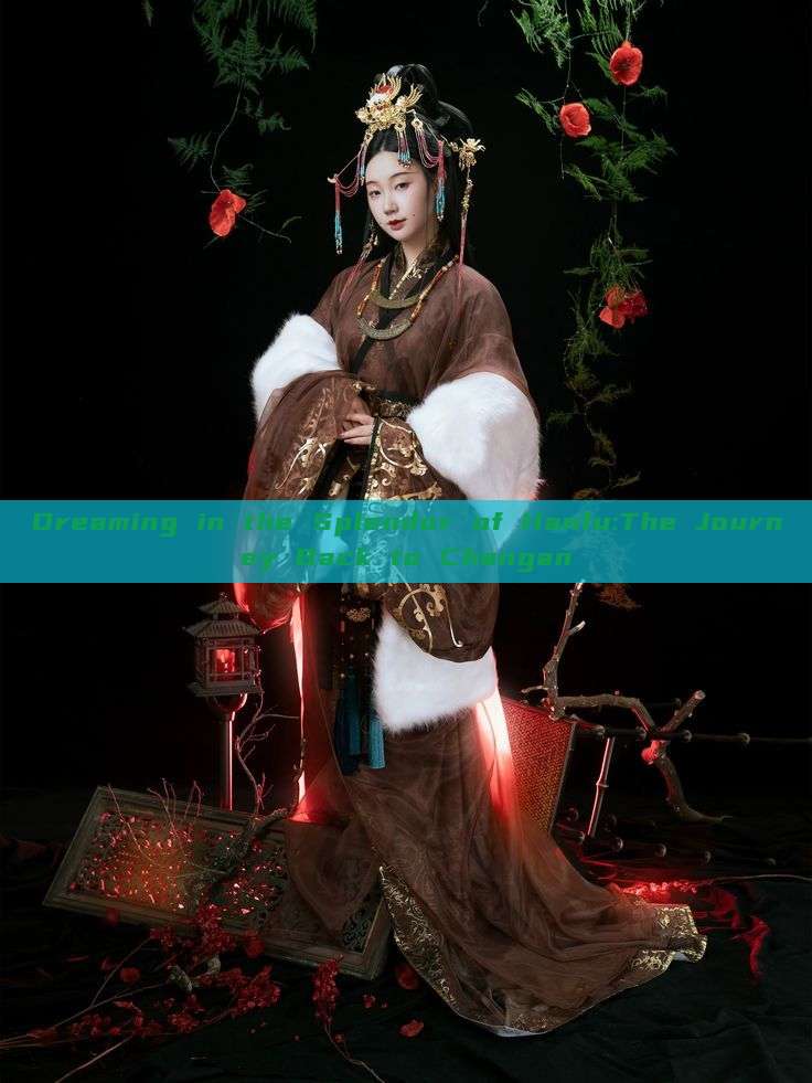 Dreaming in the Splendor of Hanfu:The Journey Back to Changan Dreaming in the Splendor of Hanfu:The Journey Back to Changan