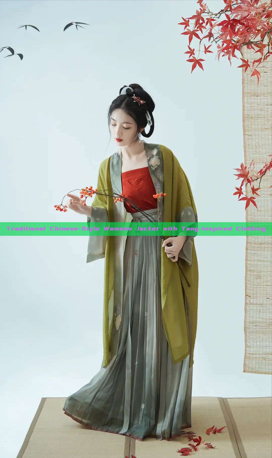 Traditional Chinese-Style Womens Jacket with Tang-Inspired Clothing Traditional Chinese-Style Womens Jacket with Tang-Inspired Clothing