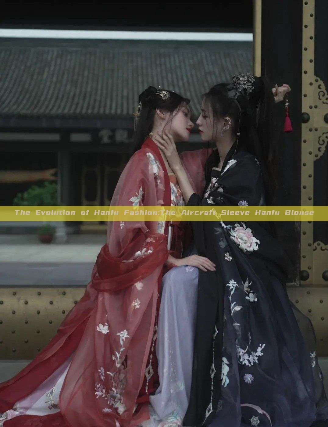 The Evolution of Hanfu Fashion:The Aircraft Sleeve Hanfu Blouse The Evolution of Hanfu Fashion:The Aircraft Sleeve Hanfu Blouse