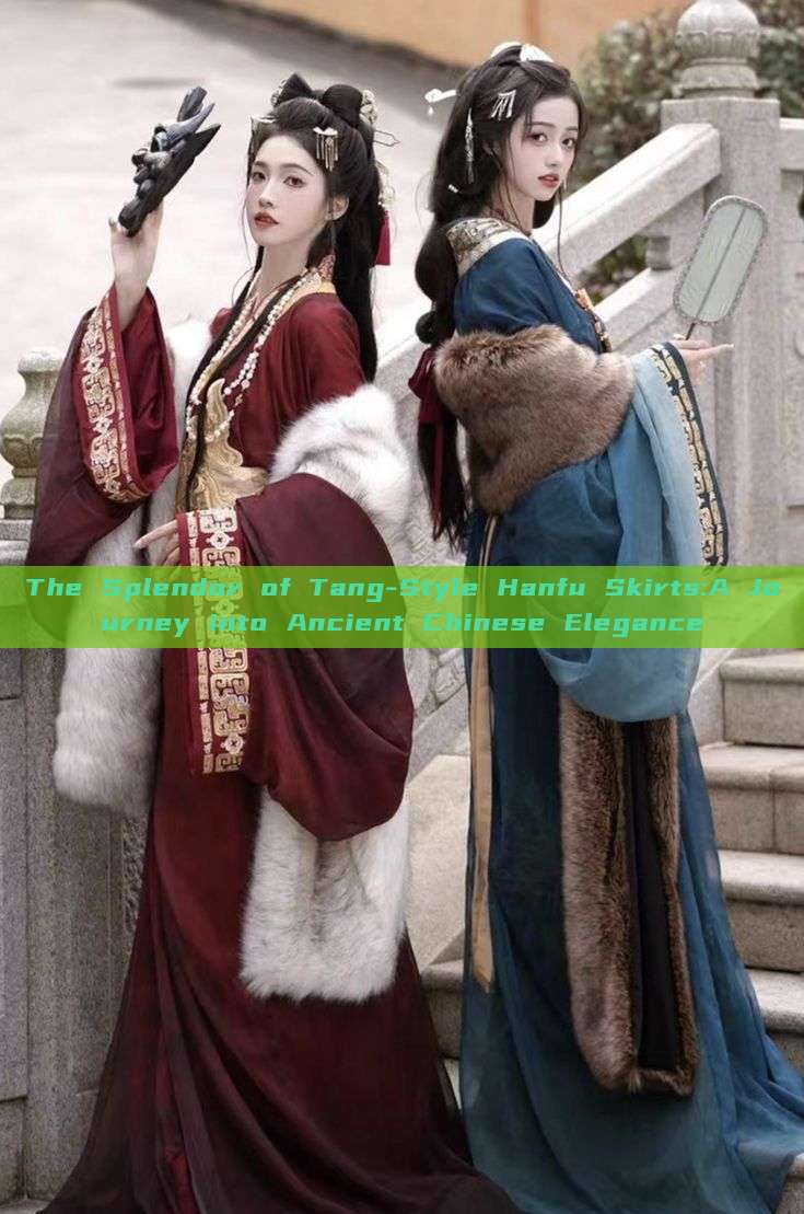 The Splendor of Tang-Style Hanfu Skirts:A Journey into Ancient Chinese Elegance The Splendor of Tang-Style Hanfu Skirts:A Journey into Ancient Chinese Elegance