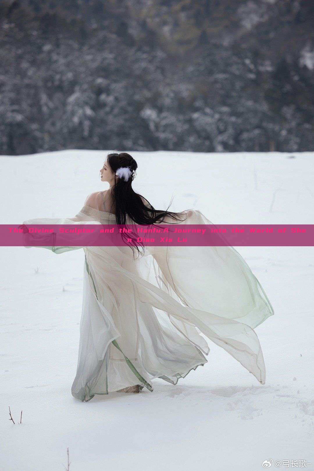 The Divine Sculptor and the Hanfu:A Journey into the World of Shen Diao Xia Lu The Divine Sculptor and the Hanfu:A Journey into the World of Shen Diao Xia Lu