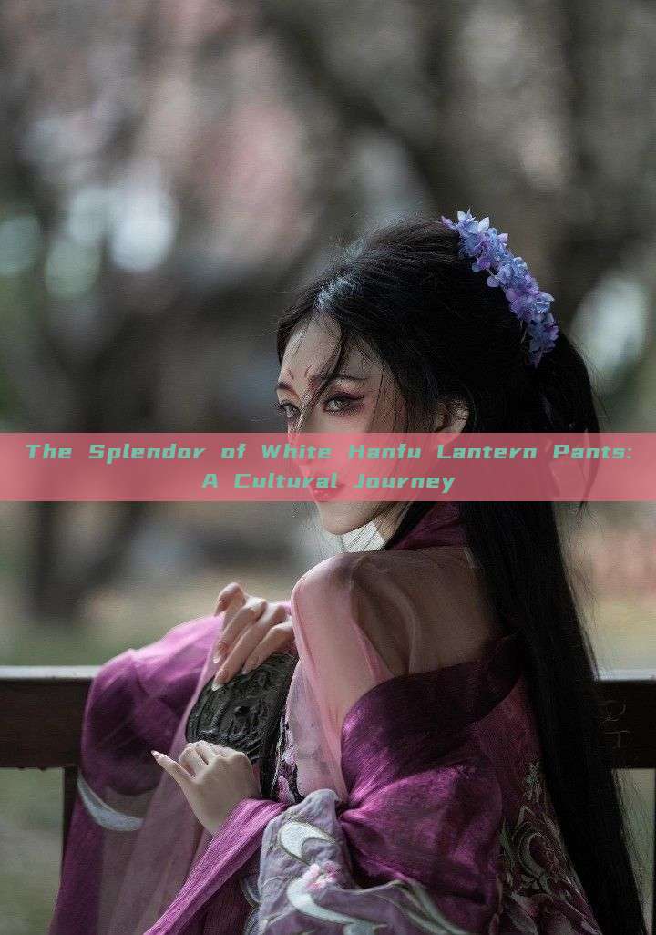 The Splendor of White Hanfu Lantern Pants:A Cultural Journey The Splendor of White Hanfu Lantern Pants:A Cultural Journey