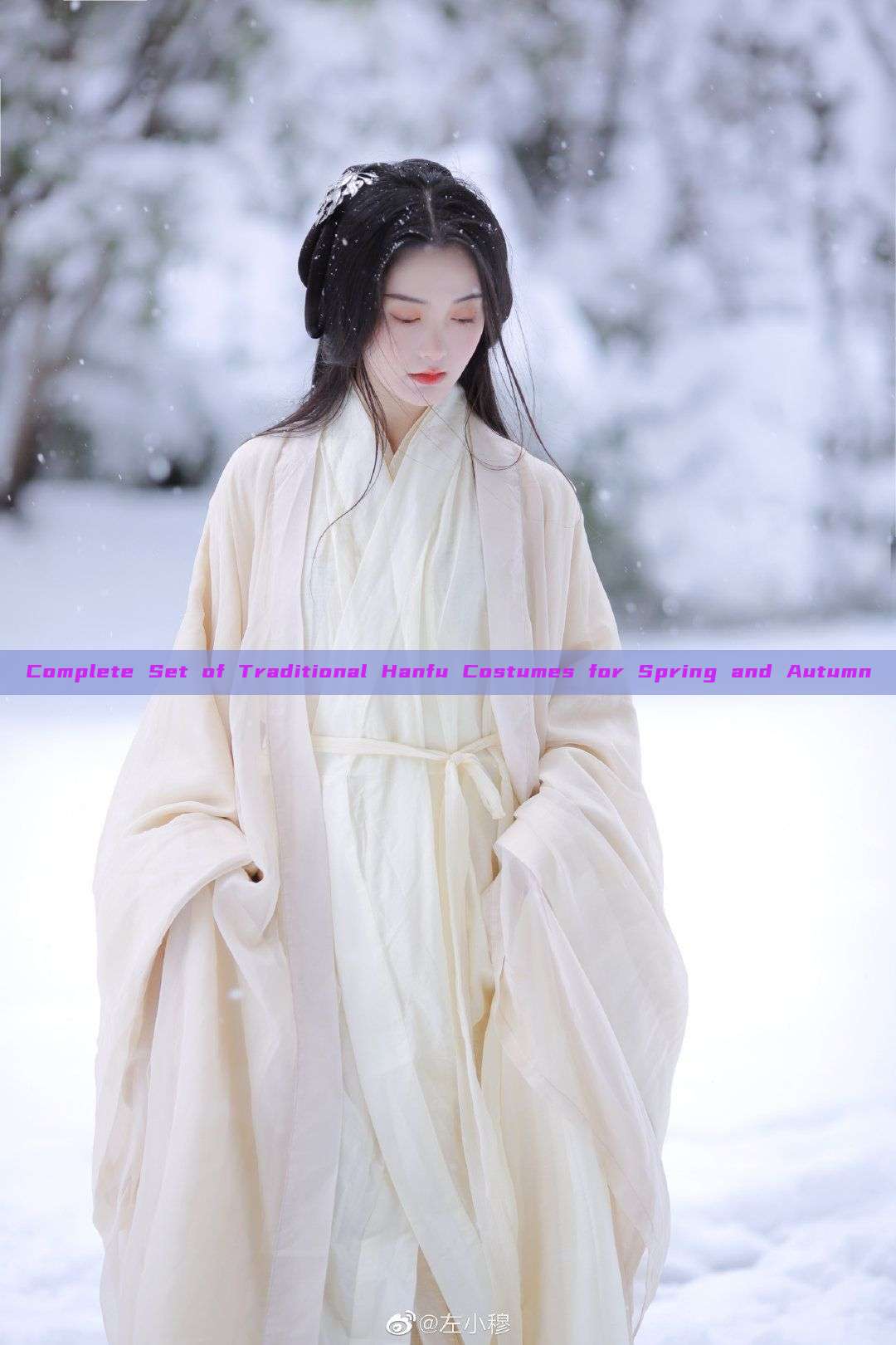 Complete Set of Traditional Hanfu Costumes for Spring and Autumn Complete Set of Traditional Hanfu Costumes for Spring and Autumn