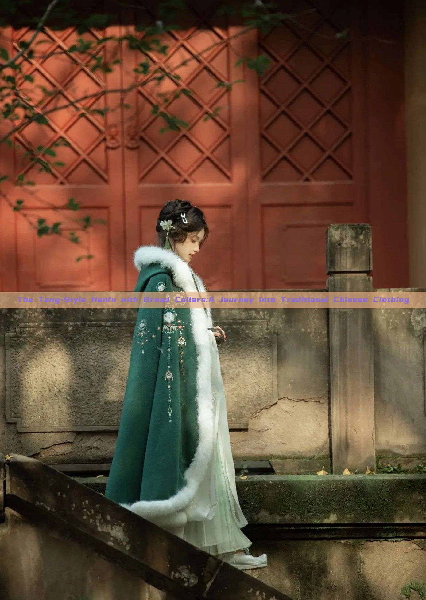 The Tang-Style Hanfu with Broad Collars:A Journey into Traditional Chinese Clothing