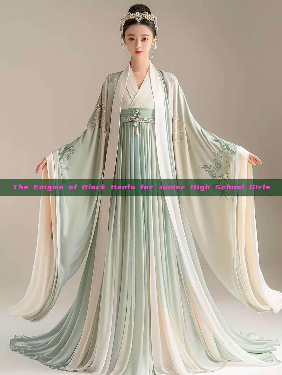 The Enigma of Black Hanfu for Junior High School Girls The Enigma of Black Hanfu for Junior High School Girls