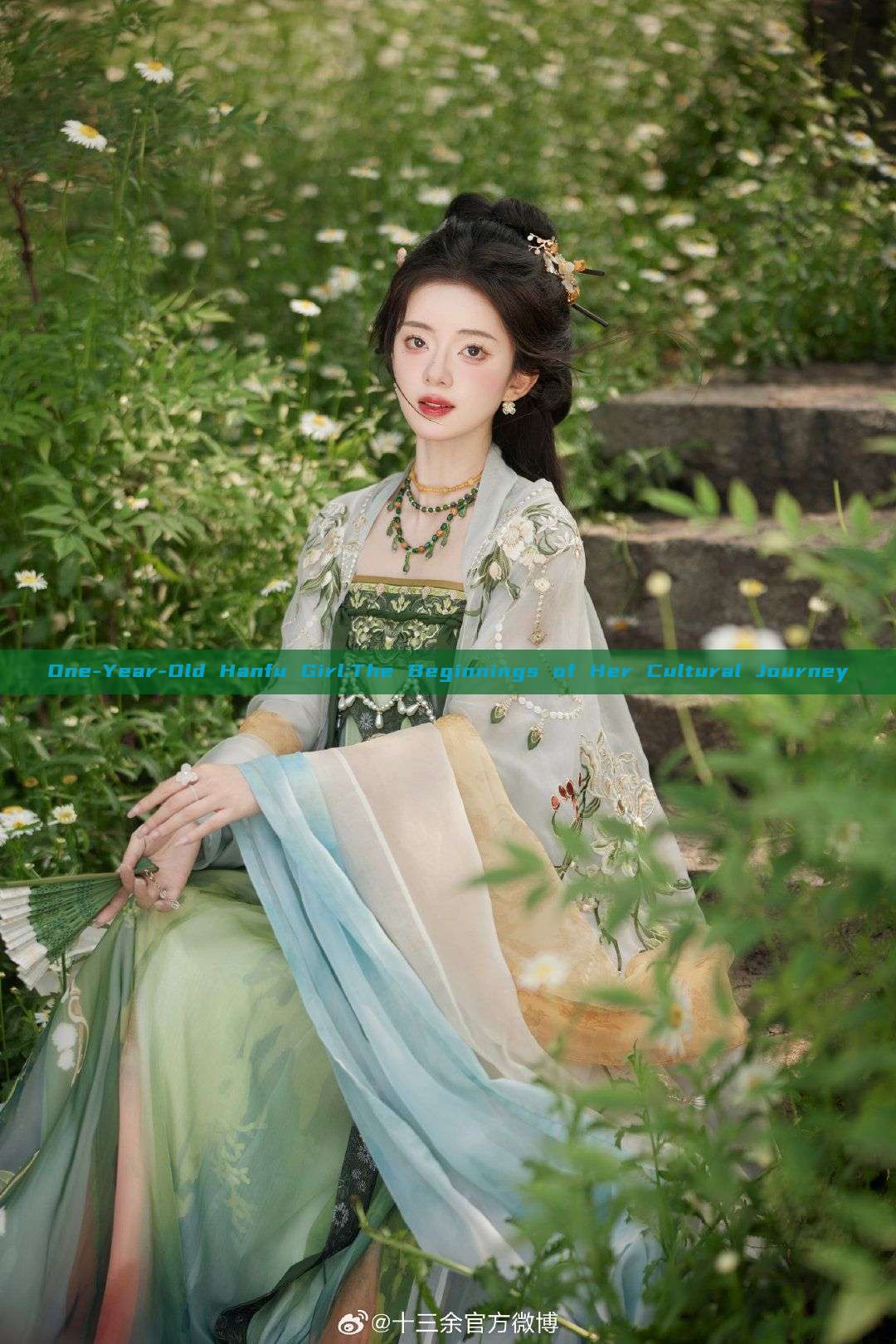 One-Year-Old Hanfu Girl:The Beginnings of Her Cultural Journey One-Year-Old Hanfu Girl:The Beginnings of Her Cultural Journey