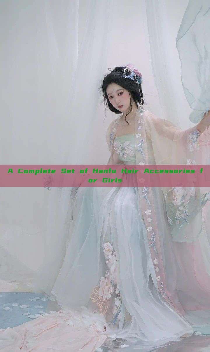 A Complete Set of Hanfu Hair Accessories for Girls A Complete Set of Hanfu Hair Accessories for Girls