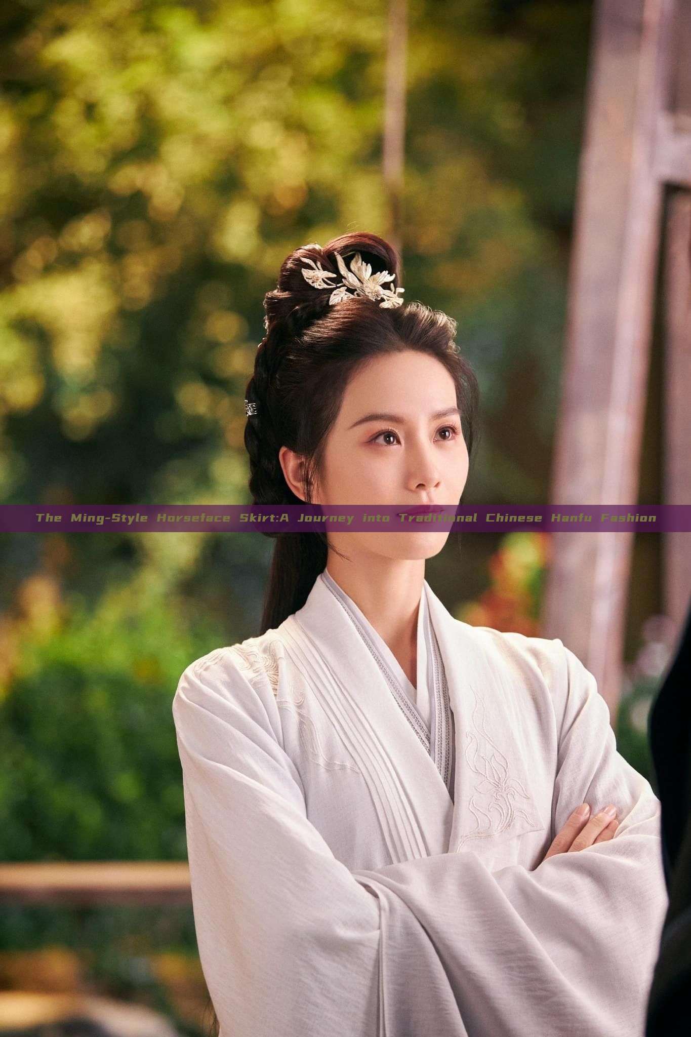 The Ming-Style Horseface Skirt:A Journey into Traditional Chinese Hanfu Fashion The Ming-Style Horseface Skirt:A Journey into Traditional Chinese Hanfu Fashion