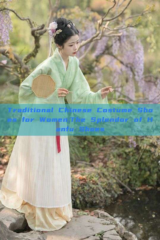 Traditional Chinese Costume Shoes for Women:The Splendor of Hanfu Shoes Traditional Chinese Costume Shoes for Women:The Splendor of Hanfu Shoes