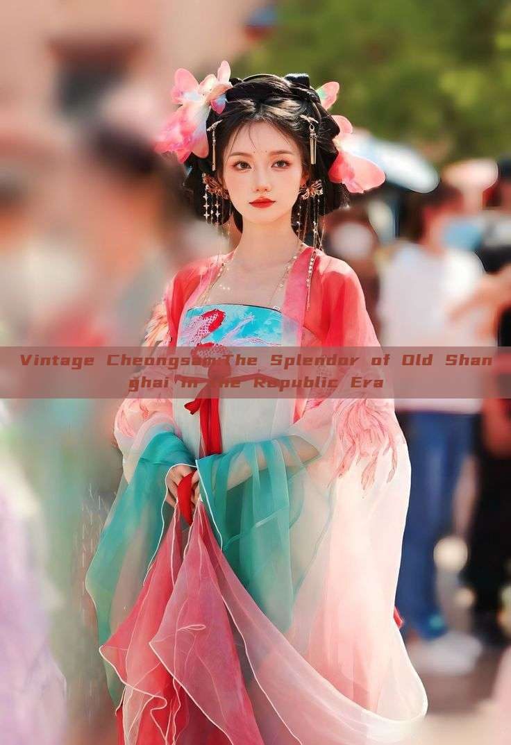 Vintage Cheongsam:The Splendor of Old Shanghai in the Republic Era Vintage Cheongsam:The Splendor of Old Shanghai in the Republic Era