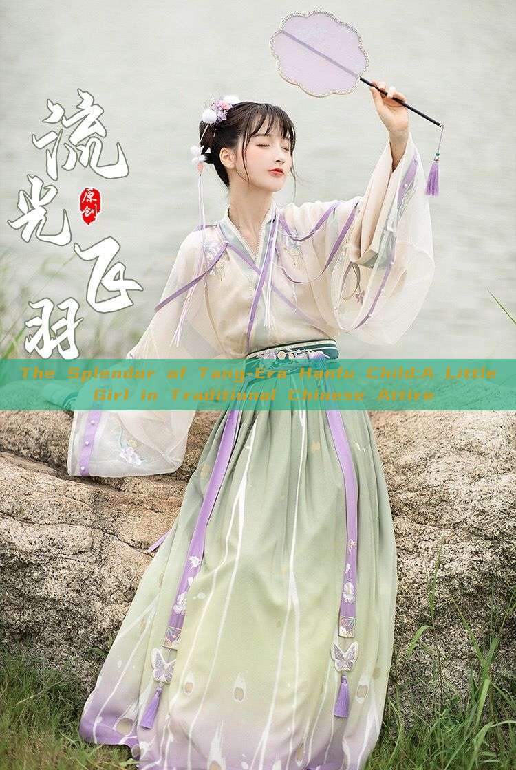 The Splendor of Tang-Era Hanfu Child:A Little Girl in Traditional Chinese Attire The Splendor of Tang-Era Hanfu Child:A Little Girl in Traditional Chinese Attire