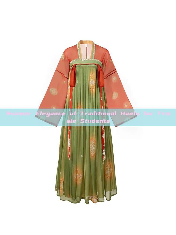 Summer Elegance of Traditional Hanfu for Female Students Summer Elegance of Traditional Hanfu for Female Students