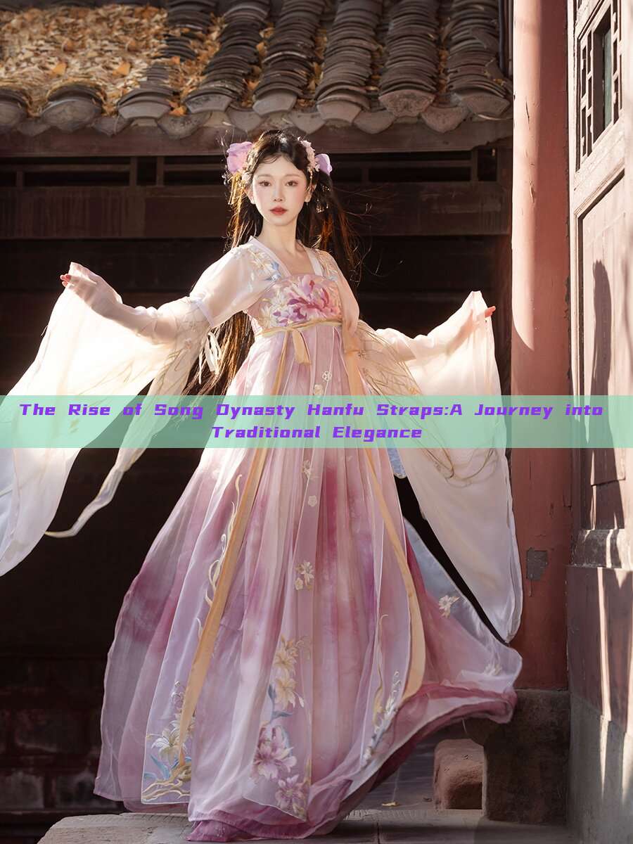 The Rise of Song Dynasty Hanfu Straps:A Journey into Traditional Elegance The Rise of Song Dynasty Hanfu Straps:A Journey into Traditional Elegance
