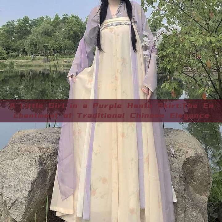 A Little Girl in a Purple Hanfu Skirt:The Enchantment of Traditional Chinese Elegance A Little Girl in a Purple Hanfu Skirt:The Enchantment of Traditional Chinese Elegance