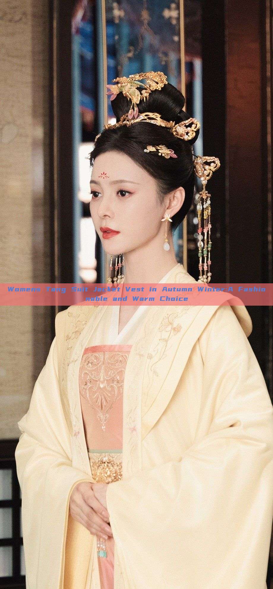 Womens Tang Suit Jacket Vest in Autumn Winter:A Fashionable and Warm Choice