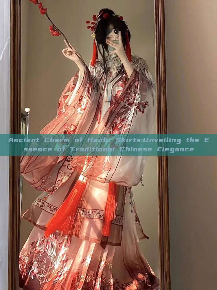 Ancient Charm of Hanfu Skirts:Unveiling the Essence of Traditional Chinese Elegance Ancient Charm of Hanfu Skirts:Unveiling the Essence of Traditional Chinese Elegance
