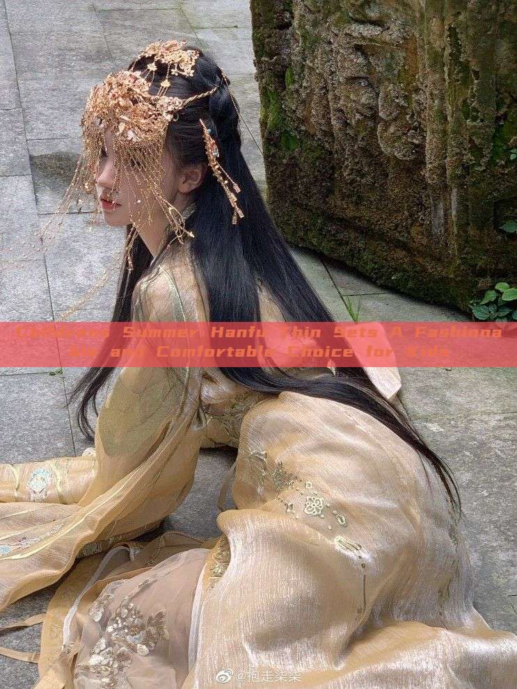 Childrens Summer Hanfu Thin Sets A Fashionable and Comfortable Choice for Kids Childrens Summer Hanfu Thin Sets A Fashionable and Comfortable Choice for Kids