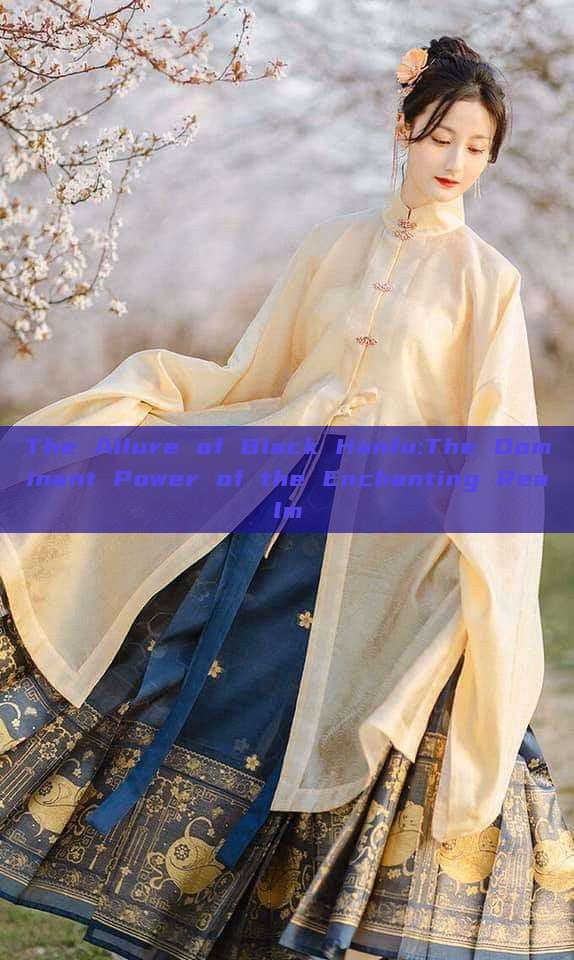 The Allure of Black Hanfu:The Dominant Power of the Enchanting Realm The Allure of Black Hanfu:The Dominant Power of the Enchanting Realm