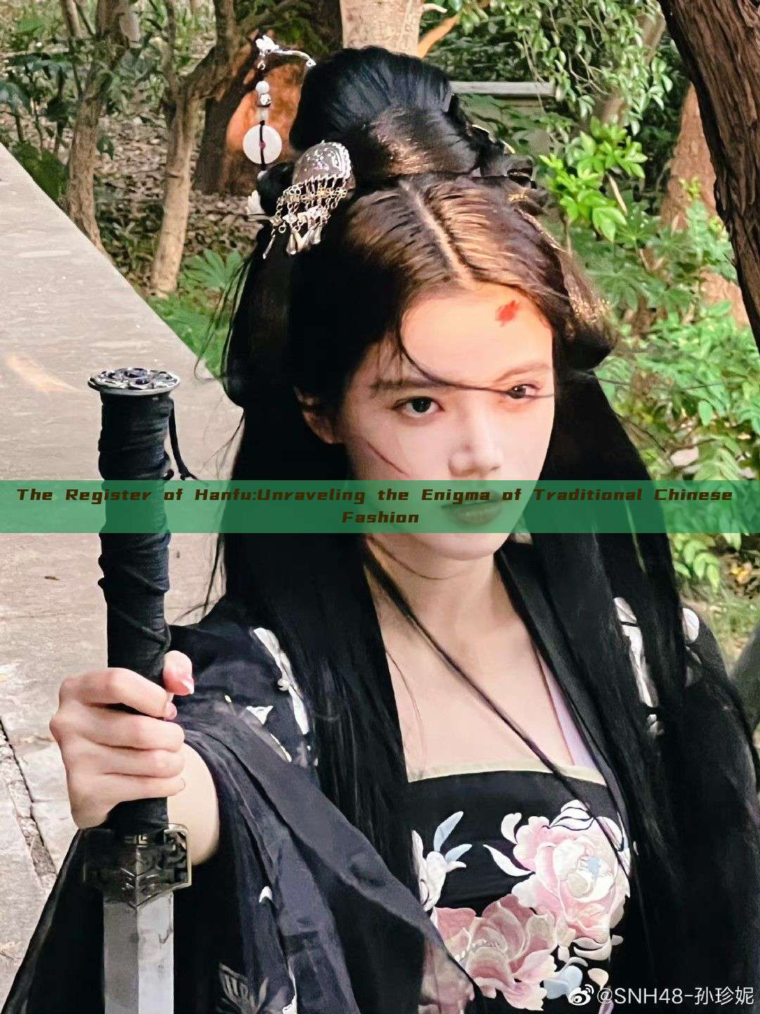 The Register of Hanfu:Unraveling the Enigma of Traditional Chinese Fashion The Register of Hanfu:Unraveling the Enigma of Traditional Chinese Fashion