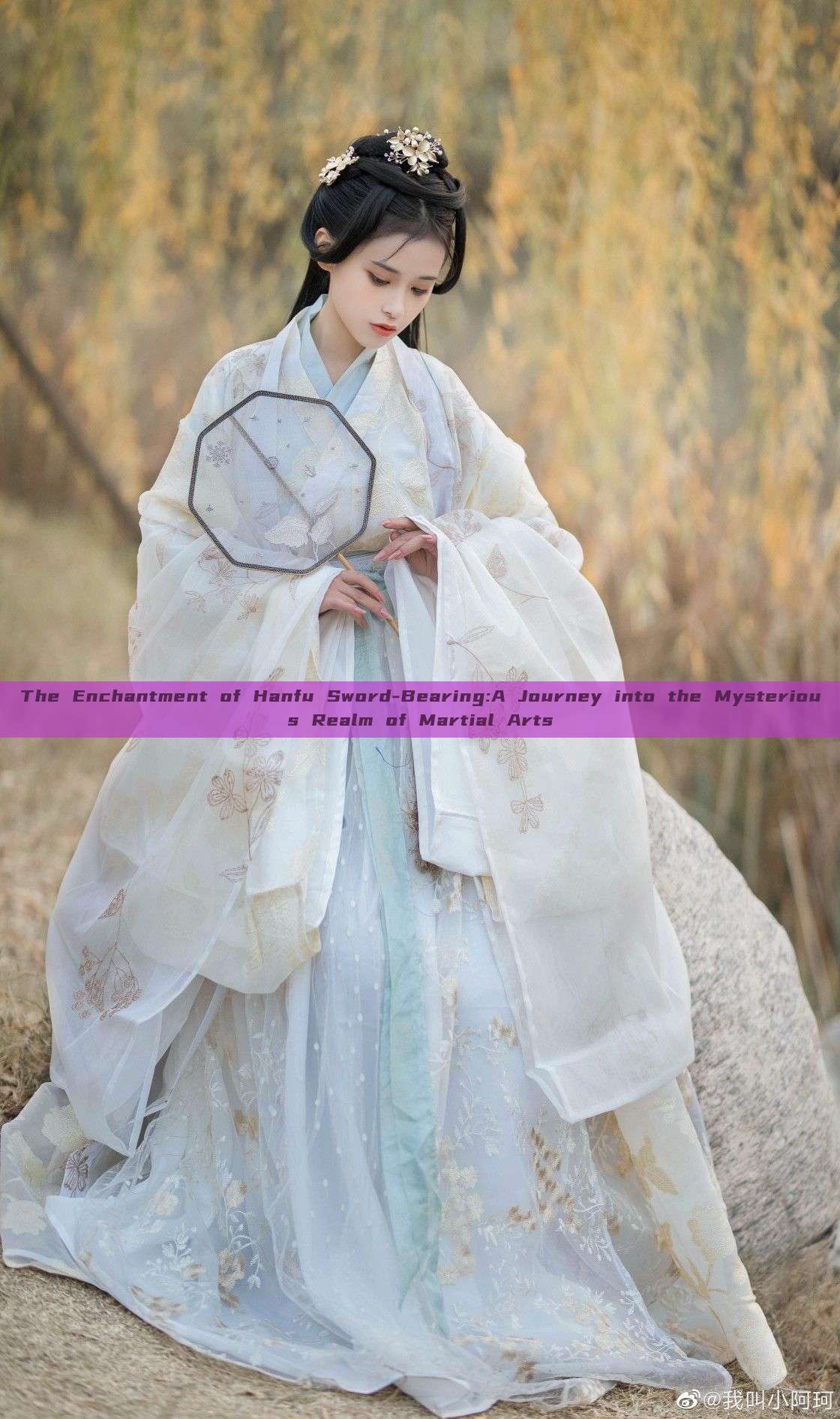 The Enchantment of Hanfu Sword-Bearing:A Journey into the Mysterious Realm of Martial Arts The Enchantment of Hanfu Sword-Bearing:A Journey into the Mysterious Realm of Martial Arts