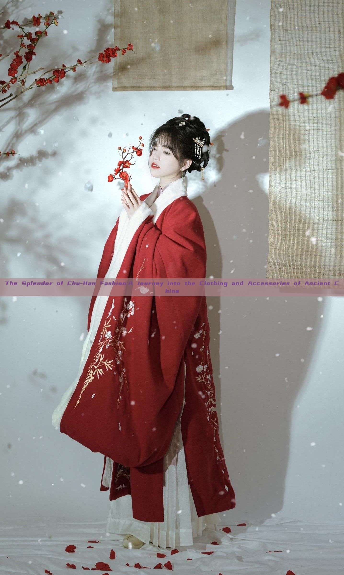 The Splendor of Chu-Han Fashion:A Journey into the Clothing and Accessories of Ancient China