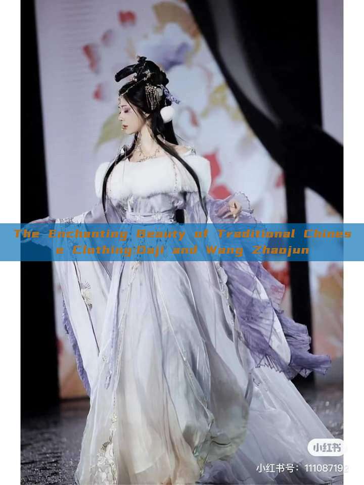 The Enchanting Beauty of Traditional Chinese Clothing:Daji and Wang Zhaojun The Enchanting Beauty of Traditional Chinese Clothing:Daji and Wang Zhaojun