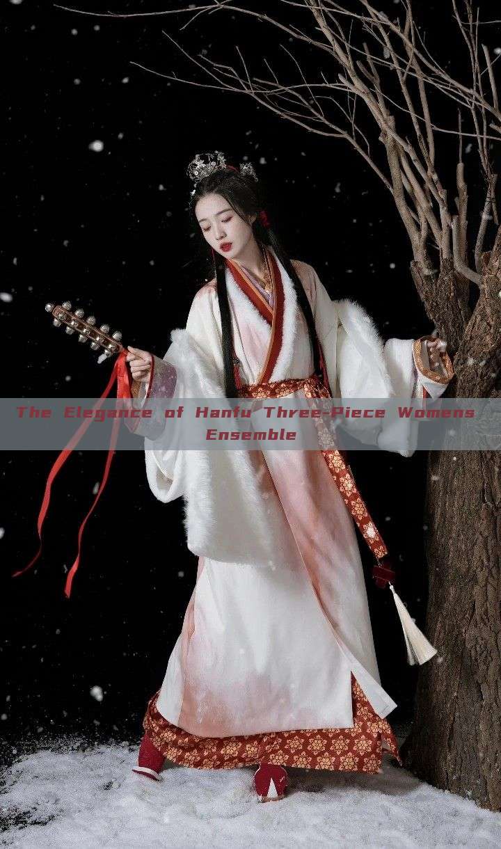 The Elegance of Hanfu Three-Piece Womens Ensemble