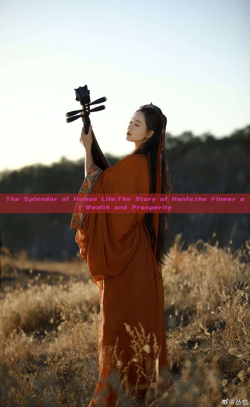 The Splendor of Human Life:The Story of Hanfu,the Flower of Wealth and Prosperity The Splendor of Human Life:The Story of Hanfu,the Flower of Wealth and Prosperity