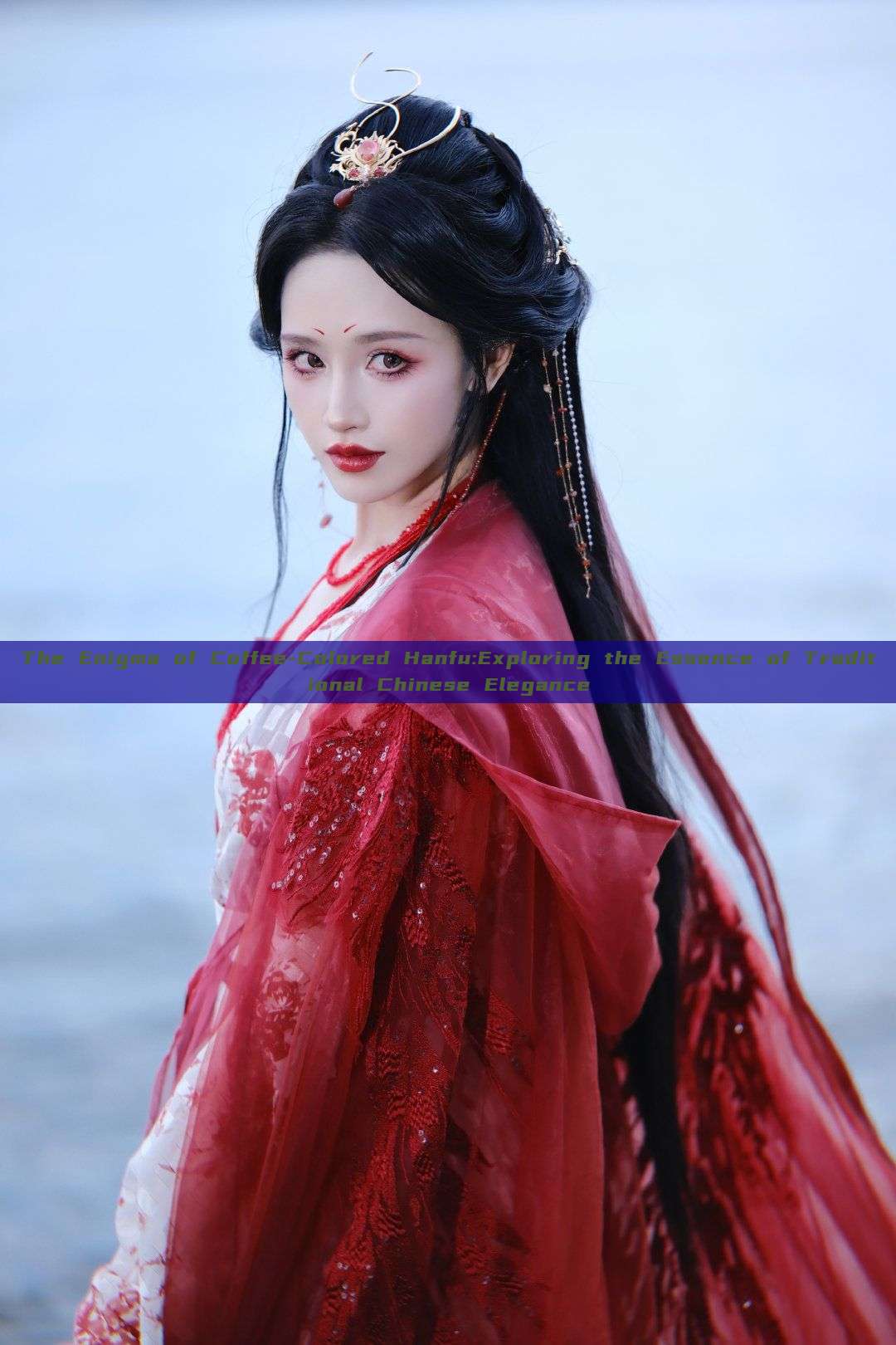 The Enigma of Coffee-Colored Hanfu:Exploring the Essence of Traditional Chinese Elegance The Enigma of Coffee-Colored Hanfu:Exploring the Essence of Traditional Chinese Elegance
