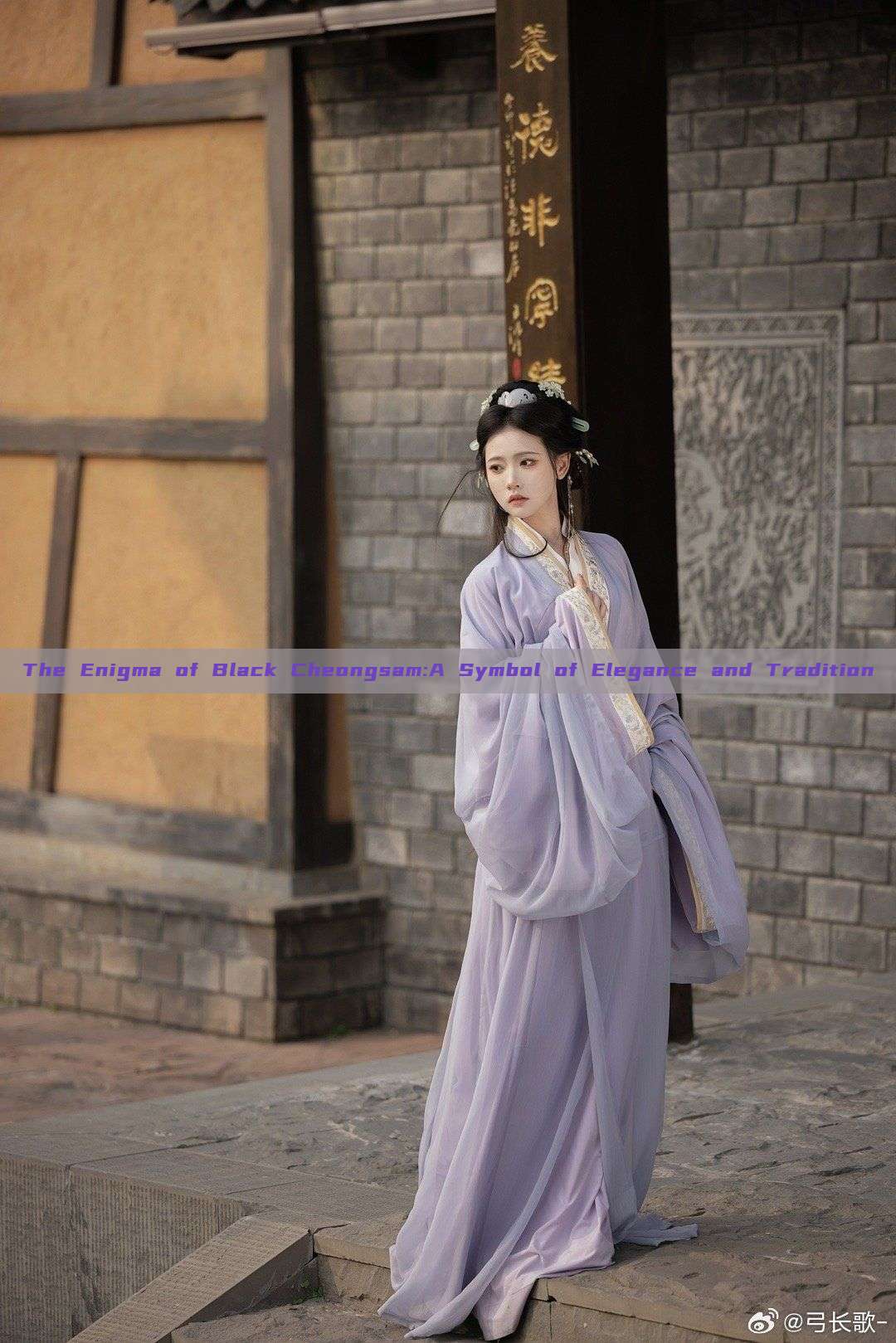 The Enigma of Black Cheongsam:A Symbol of Elegance and Tradition The Enigma of Black Cheongsam:A Symbol of Elegance and Tradition