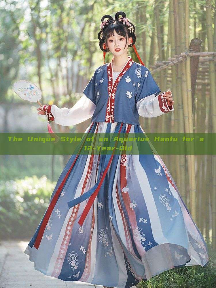 The Unique Style of an Aquarius Hanfu for a 12-Year-Old The Unique Style of an Aquarius Hanfu for a 12-Year-Old