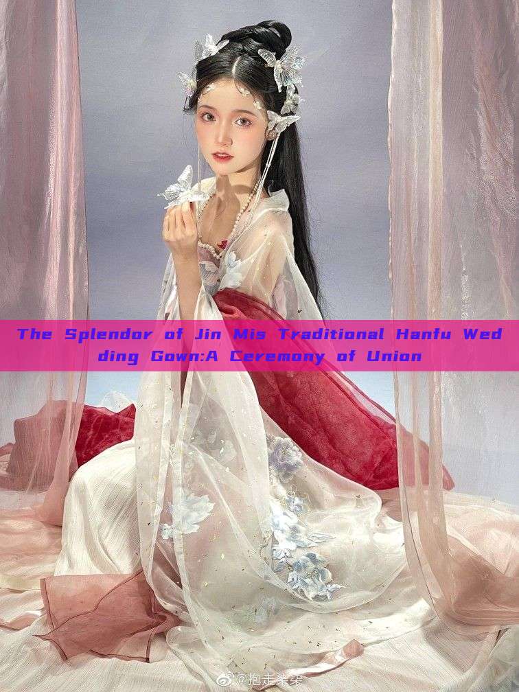The Splendor of Jin Mis Traditional Hanfu Wedding Gown:A Ceremony of Union