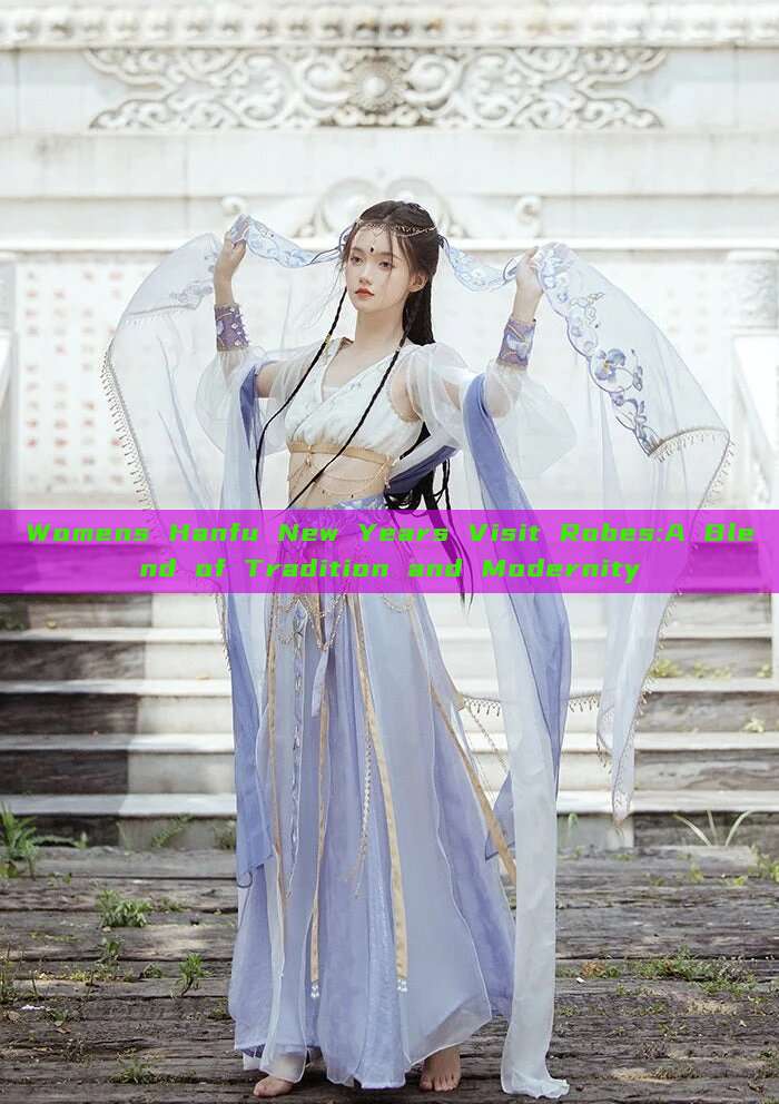 Womens Hanfu New Years Visit Robes:A Blend of Tradition and Modernity Womens Hanfu New Years Visit Robes:A Blend of Tradition and Modernity