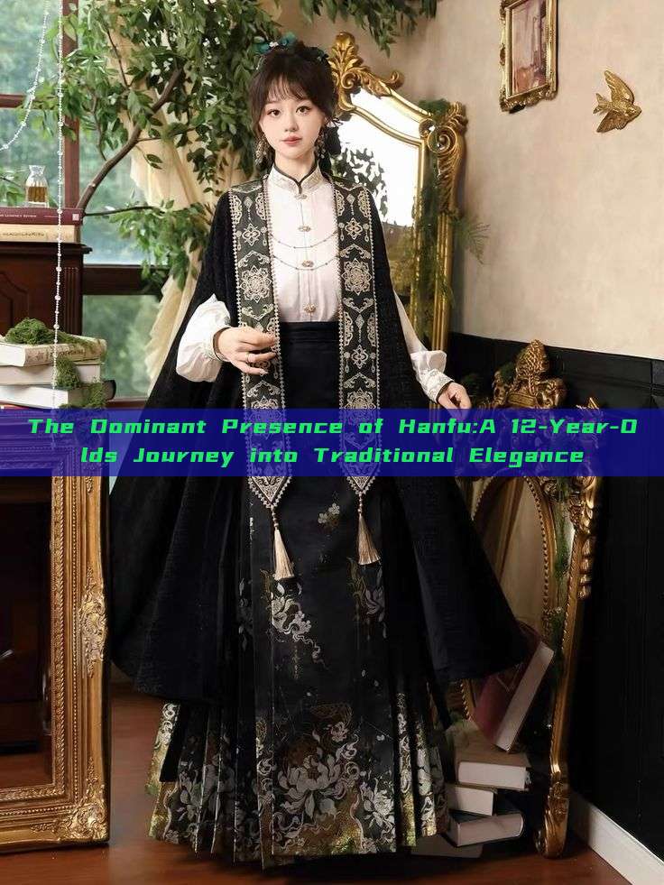 The Dominant Presence of Hanfu:A 12-Year-Olds Journey into Traditional Elegance The Dominant Presence of Hanfu:A 12-Year-Olds Journey into Traditional Elegance