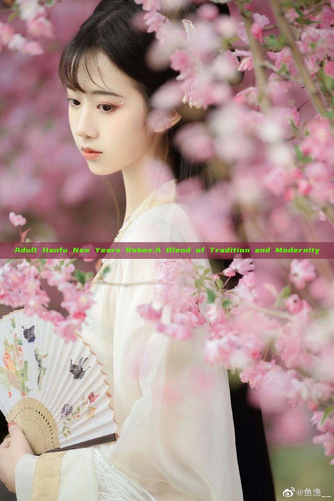 Adult Hanfu New Years Robes:A Blend of Tradition and Modernity Adult Hanfu New Years Robes:A Blend of Tradition and Modernity
