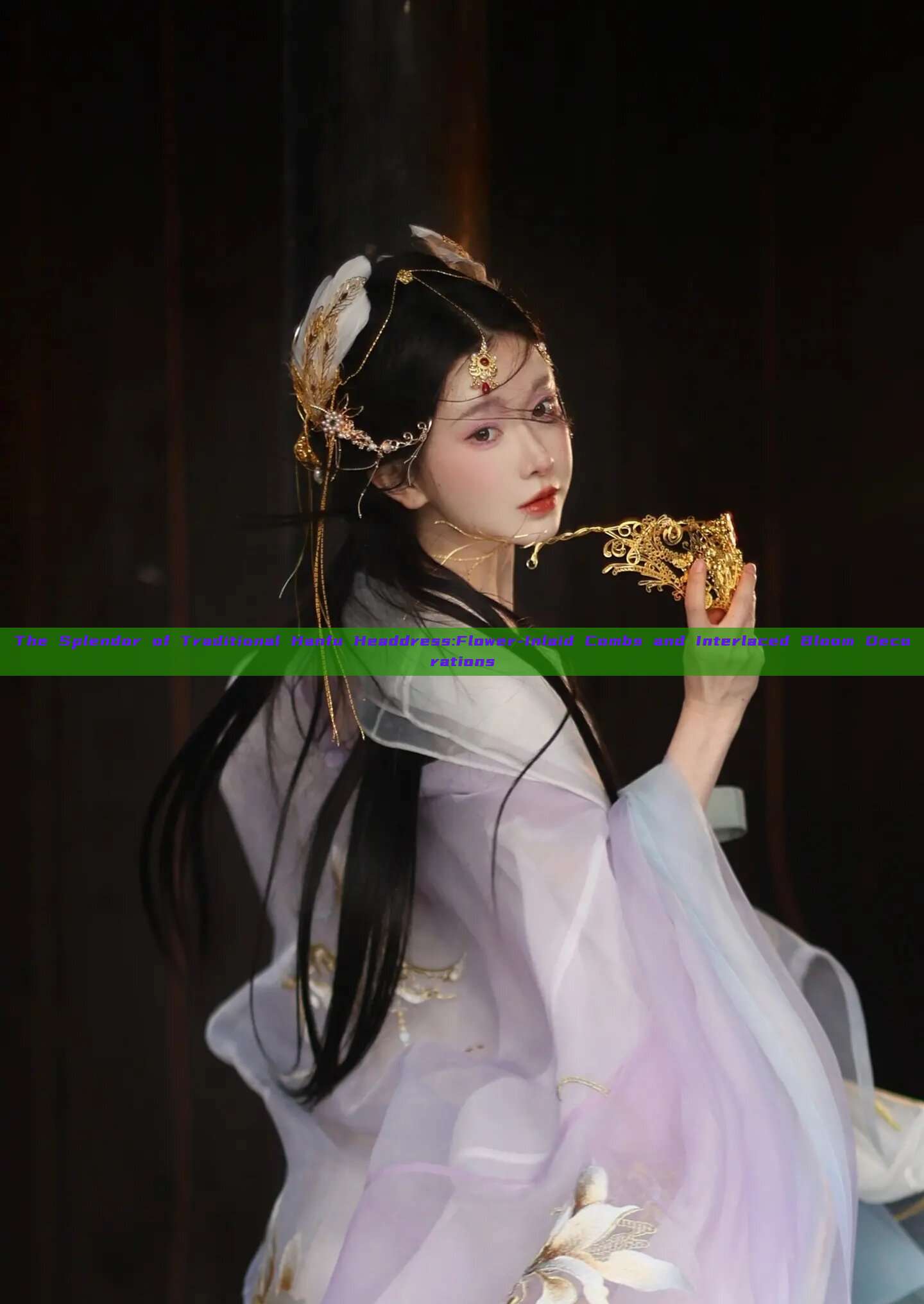 The Splendor of Traditional Hanfu Headdress:Flower-Inlaid Combs and Interlaced Bloom Decorations The Splendor of Traditional Hanfu Headdress:Flower-Inlaid Combs and Interlaced Bloom Decorations