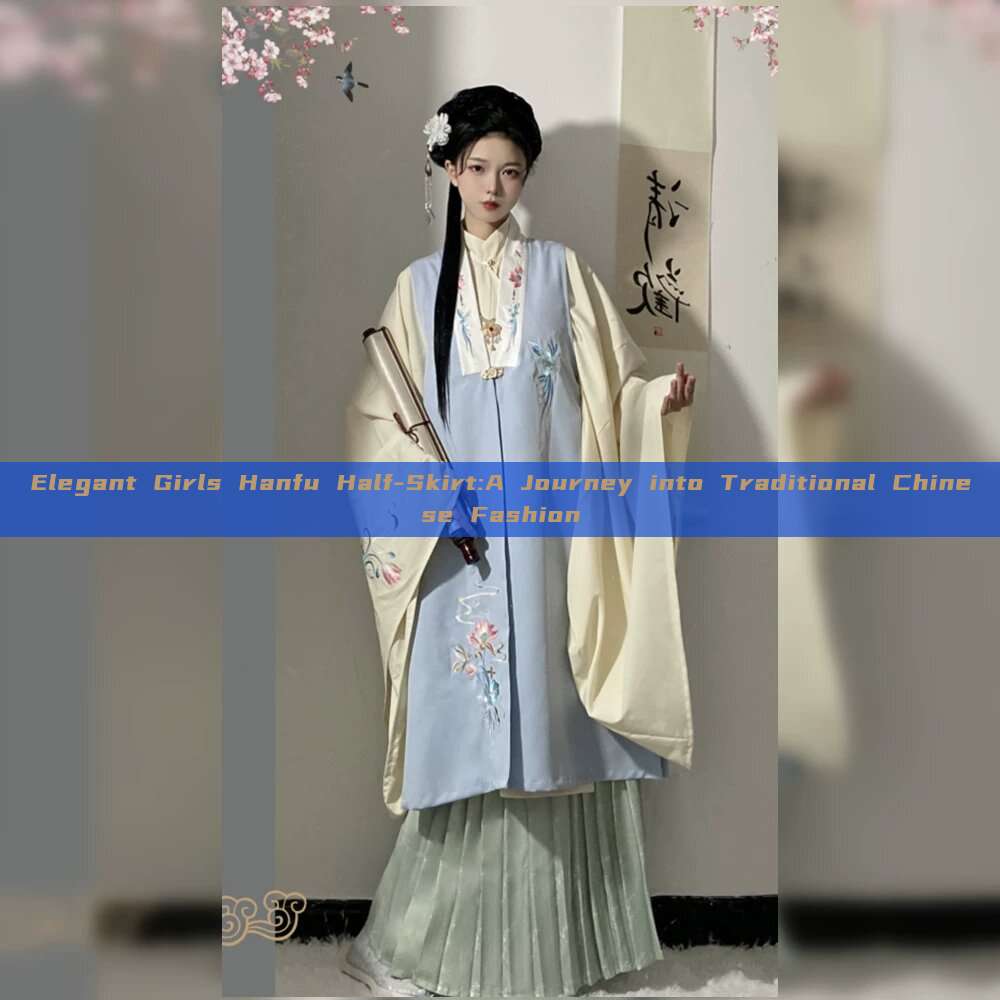 Elegant Girls Hanfu Half-Skirt:A Journey into Traditional Chinese Fashion Elegant Girls Hanfu Half-Skirt:A Journey into Traditional Chinese Fashion